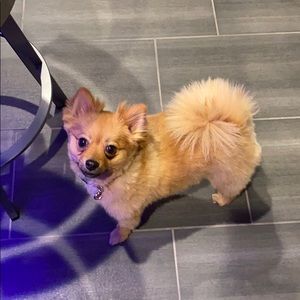 Meet your Posher, Brittny